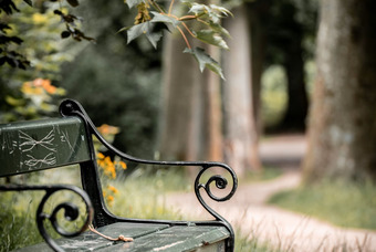 Gry terenowe w Parku Miejskim w Kościanie