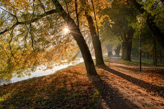 news Wernisaż wystawy fotografii 'Kościan w obiektywie Jesiennej.pani'